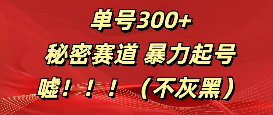 单号300+  秘密赛道 暴力起号  （不灰黑）祝创空间-网创项目资源站-副业项目-创业项目-搞钱项目祝创空间