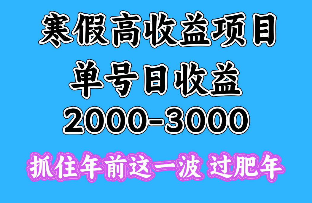 寒假期间一天收益2000-3000+，抓住年前这一波祝创空间-网创项目资源站-副业项目-创业项目-搞钱项目祝创空间