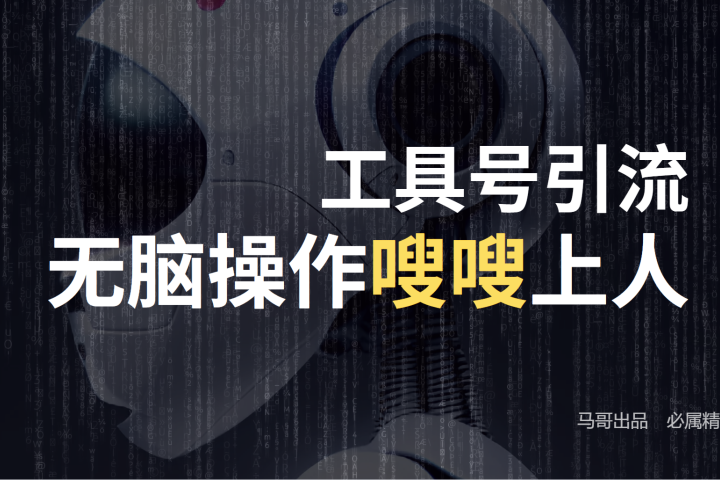 工具号高效引流法，嗖嗖上人，日引1000+，直接搬运，无脑操作祝创空间-网创项目资源站-副业项目-创业项目-搞钱项目祝创空间
