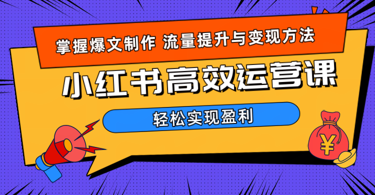 价值980小红书运营操作指南祝创空间-网创项目资源站-副业项目-创业项目-搞钱项目祝创空间