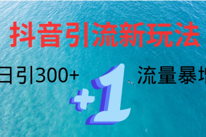 创业粉高效引流，抖音工具号玩法4.0，日引300+祝创空间-网创项目资源站-副业项目-创业项目-搞钱项目祝创空间