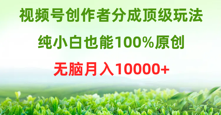 视频号创作者分成顶级玩法，纯小白也能100%原创，无脑月入10000+祝创空间-网创项目资源站-副业项目-创业项目-搞钱项目祝创空间