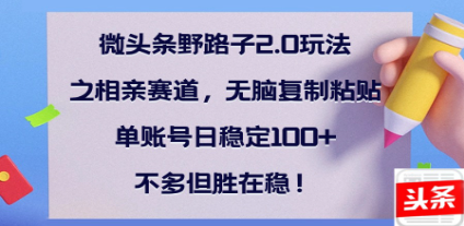 全网首发微头条野路子2.0玩法之相亲赛道，无脑搬砖复制粘贴，单账号日稳定300+保姆级教程祝创空间-网创项目资源站-副业项目-创业项目-搞钱项目祝创空间