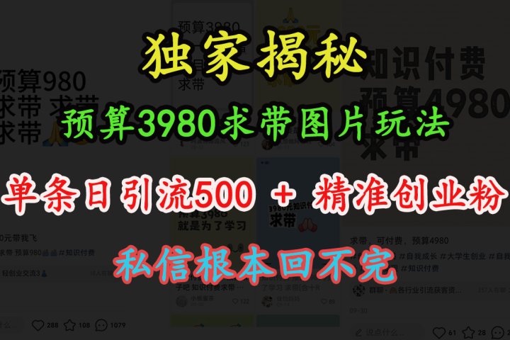 “小红书”预算3980求带 图片玩法，单条日引流500+精准创业粉，私信根本回不完祝创空间-网创项目资源站-副业项目-创业项目-搞钱项目祝创空间