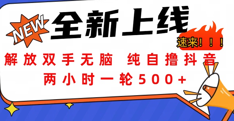 解放双手无脑 纯自撸抖音 两小时一轮500+祝创空间-网创项目资源站-副业项目-创业项目-搞钱项目祝创空间