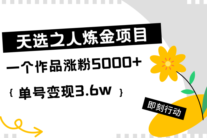 天选之人炼金项目，一个作品涨粉5000+，单号变现3.6w祝创空间-网创项目资源站-副业项目-创业项目-搞钱项目祝创空间
