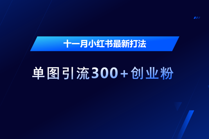 十一月，小红书最新打法，单图引流300+创业粉祝创空间-网创项目资源站-副业项目-创业项目-搞钱项目祝创空间