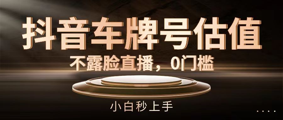 抖音车牌号估值,不露脸直播,0门槛,小白秒上手祝创空间-网创项目资源站-副业项目-创业项目-搞钱项目祝创空间