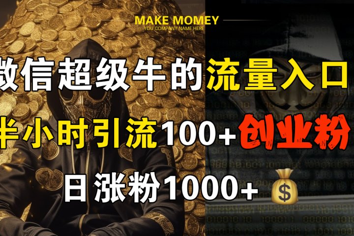 微信超级牛的流量入口，半小时引流100+创业粉，日涨粉1000+祝创空间-网创项目资源站-副业项目-创业项目-搞钱项目祝创空间