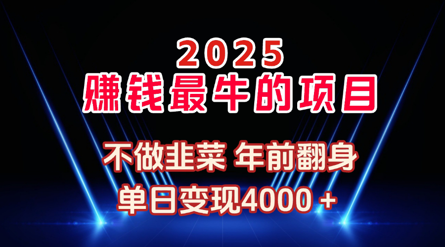 2025年赚钱最牛的项目 不做韭菜 年前翻身祝创空间-网创项目资源站-副业项目-创业项目-搞钱项目祝创空间