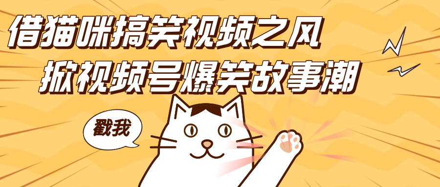 借猫咪搞笑视频之风，掀视频号爆笑故事潮，轻松日赚四位数，开启无门槛赚钱新体验！祝创空间-网创项目资源站-副业项目-创业项目-搞钱项目祝创空间
