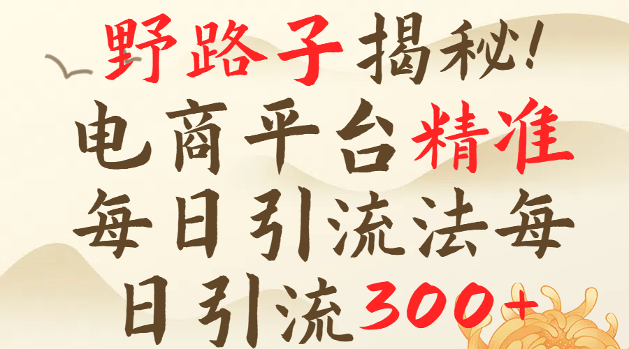 野路子揭秘！电商平台每日引流300＋独家揭秘详细流程！祝创空间-网创项目资源站-副业项目-创业项目-搞钱项目祝创空间