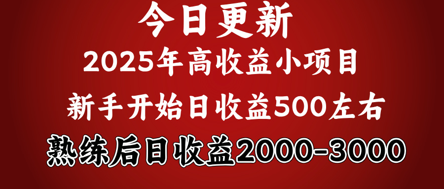 2025开年好项目，新手日收益500+ 熟练掌握后，日收益平均2000多祝创空间-网创项目资源站-副业项目-创业项目-搞钱项目祝创空间