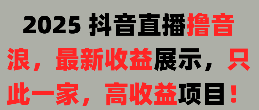 2025 抖音直播撸音浪，最新收益展示，只此一家，高收益项目！祝创空间-网创项目资源站-副业项目-创业项目-搞钱项目祝创空间