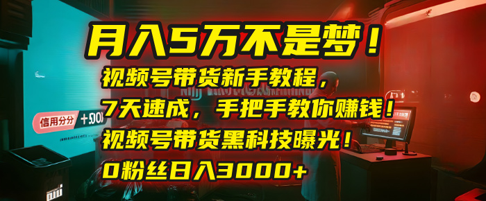 月入5万不是梦!视频号带货新手教程,7天速成,手把手教你赚钱!视频号带货黑科技曝光!0粉丝日入3000+祝创空间-网创项目资源站-副业项目-创业项目-搞钱项目祝创空间
