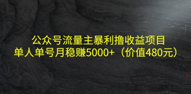 公众号流量主暴利撸收益项目，单人单号月稳赚5000+（价值480元）祝创空间-网创项目资源站-副业项目-创业项目-搞钱项目祝创空间