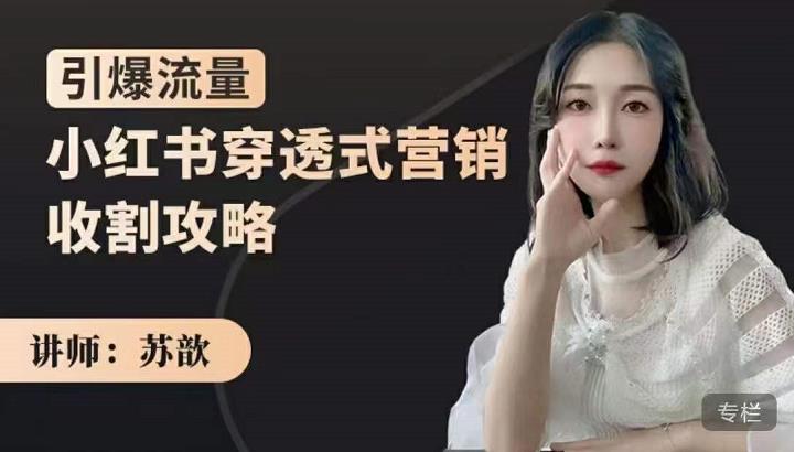 小红书穿透式营销收割攻略，引爆流量，助你玩转小红书祝创空间-网创项目资源站-副业项目-创业项目-搞钱项目祝创空间