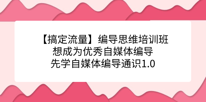 【搞定流量】编导思维培训班，想成为优秀自媒体编导先学自媒体编导通识1.0祝创空间-网创项目资源站-副业项目-创业项目-搞钱项目祝创空间