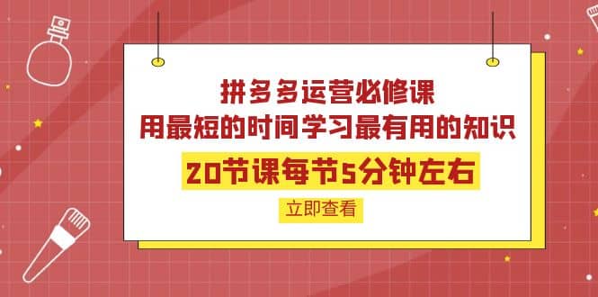 拼多多运营必修课：20节课每节5分钟左右，用最短的时间学习最有用的知识祝创空间-网创项目资源站-副业项目-创业项目-搞钱项目祝创空间