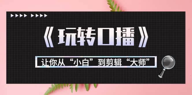 月营业额700万+大佬教您《玩转口播》让你从“小白”到剪辑“大师”祝创空间-网创项目资源站-副业项目-创业项目-搞钱项目祝创空间