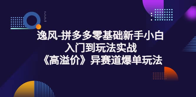 拼多多零基础新手小白入门到玩法实战《高溢价》异赛道爆单玩法实操课祝创空间-网创项目资源站-副业项目-创业项目-搞钱项目祝创空间