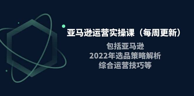 亚马逊运营实操课（每周更新）包括亚马逊2022选品策略解析，综合运营技巧等祝创空间-网创项目资源站-副业项目-创业项目-搞钱项目祝创空间