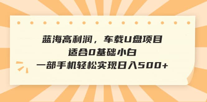 蓝海高利润,车载U盘项目,适合0基础小白,一部手机轻松实现日入500+祝创空间-网创项目资源站-副业项目-创业项目-搞钱项目祝创空间