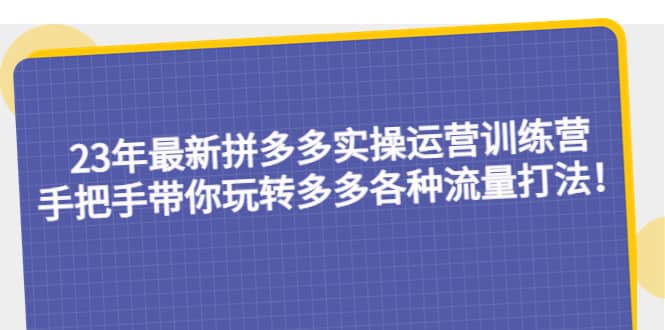 23年最新拼多多实操运营训练营：手把手带你玩转多多各种流量打法！祝创空间-网创项目资源站-副业项目-创业项目-搞钱项目祝创空间