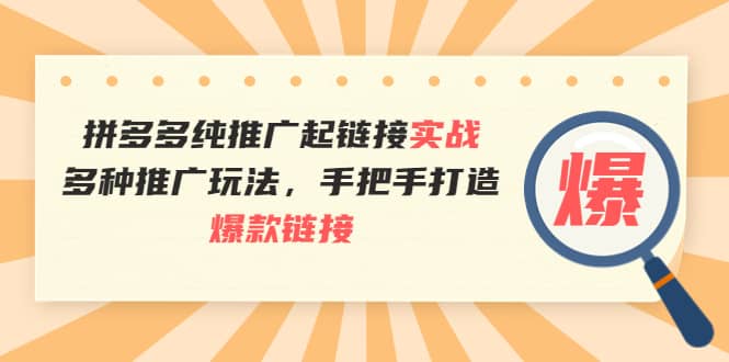 拼多多纯推广起链接实战:多种推广玩法,手把手打造爆款链接祝创空间-网创项目资源站-副业项目-创业项目-搞钱项目祝创空间