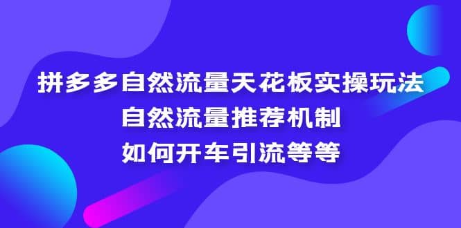 拼多多自然流量天花板实操玩法:自然流量推荐机制,如何开车引流等等祝创空间-网创项目资源站-副业项目-创业项目-搞钱项目祝创空间