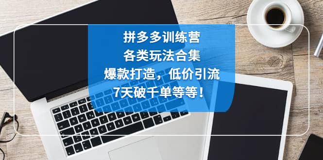 拼多多训练营:各玩法合集,爆款打造,低价引流,7天破千单等等祝创空间-网创项目资源站-副业项目-创业项目-搞钱项目祝创空间