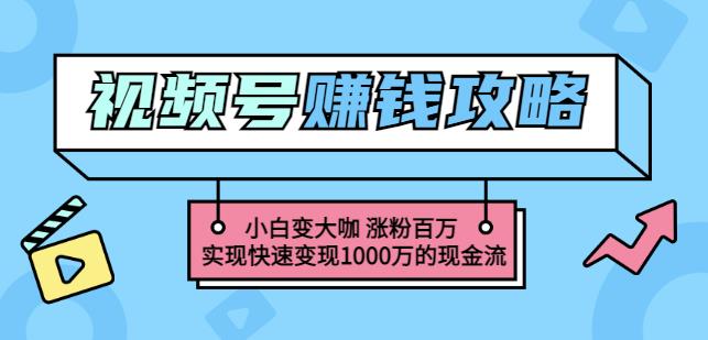玩转微信视频号赚钱：小白变大咖涨粉百万实现快速变现1000万的现金流祝创空间-网创项目资源站-副业项目-创业项目-搞钱项目祝创空间