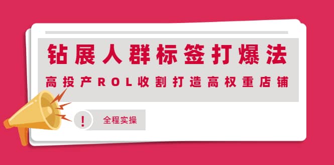 钻展人群标签打爆法，高投产ROL收割打造高权重店铺(全程实操)祝创空间-网创项目资源站-副业项目-创业项目-搞钱项目祝创空间