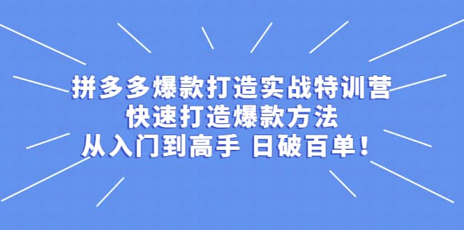 拼多多爆款打造实战特训营：快速打造爆款方法，从入门到高手 日破百单祝创空间-网创项目资源站-副业项目-创业项目-搞钱项目祝创空间