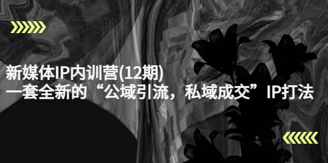 新媒体IP内训营(12期),一套全新的“公域引流,私域成交”IP打法,直接带走祝创空间-网创项目资源站-副业项目-创业项目-搞钱项目祝创空间