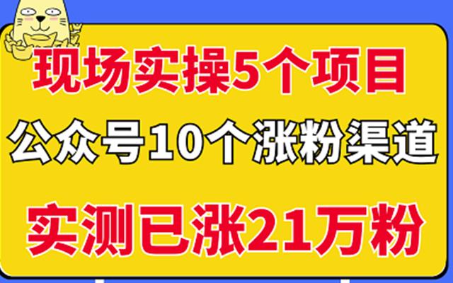 现场实操5个公众号项目，10个涨粉渠道，实测已涨21万粉！祝创空间-网创项目资源站-副业项目-创业项目-搞钱项目祝创空间