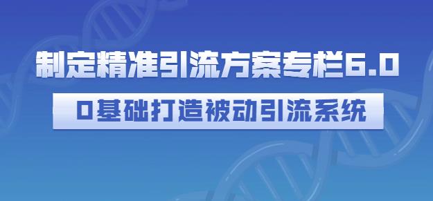 制定精准引流方案专栏6.0，0基础打造被动引流系统祝创空间-网创项目资源站-副业项目-创业项目-搞钱项目祝创空间