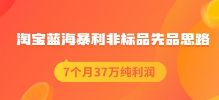 盗坤淘宝蓝海暴利非标品先品思路，7个月37万纯利润，压箱干货分享！【付费文章】祝创空间-网创项目资源站-副业项目-创业项目-搞钱项目祝创空间