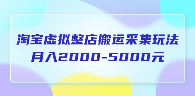 淘宝虚拟整店搬运采集玩法分享课：月入2000-5000元（5节课）祝创空间-网创项目资源站-副业项目-创业项目-搞钱项目祝创空间