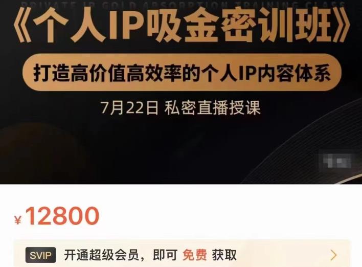 个人IP吸金密训班，打造高价值高效率的个人IP内容体系（价值12800元）祝创空间-网创项目资源站-副业项目-创业项目-搞钱项目祝创空间