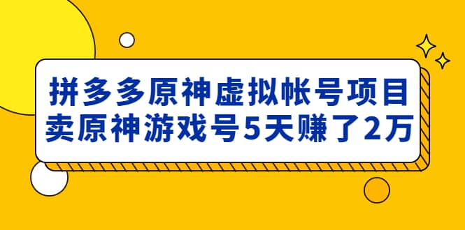 外面卖2980的拼多多原神虚拟帐号项目祝创空间-网创项目资源站-副业项目-创业项目-搞钱项目祝创空间