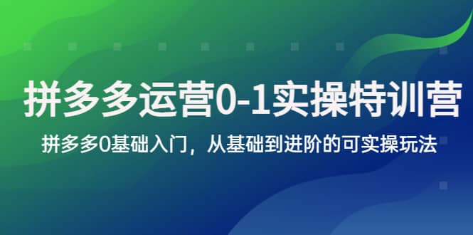 拼多多-运营0-1实操训练营，拼多多0基础入门，从基础到进阶的可实操玩法祝创空间-网创项目资源站-副业项目-创业项目-搞钱项目祝创空间