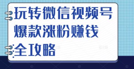 玩转微信视频号爆款涨粉赚钱全攻略，让你快速抓住流量风口，收获红利财富祝创空间-网创项目资源站-副业项目-创业项目-搞钱项目祝创空间