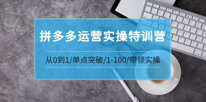 拼多多运营实操特训营：从0到1/单点突破/1-100/带领实操 价值2980元祝创空间-网创项目资源站-副业项目-创业项目-搞钱项目祝创空间