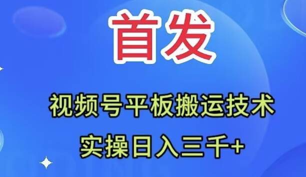 全网首发:视频号平板搬运技术,实操日入三千+祝创空间-网创项目资源站-副业项目-创业项目-搞钱项目祝创空间