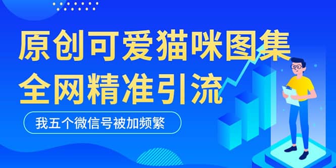 黑科技纯原创可爱猫咪图片，全网精准引流，实操5个VX号被加频繁祝创空间-网创项目资源站-副业项目-创业项目-搞钱项目祝创空间