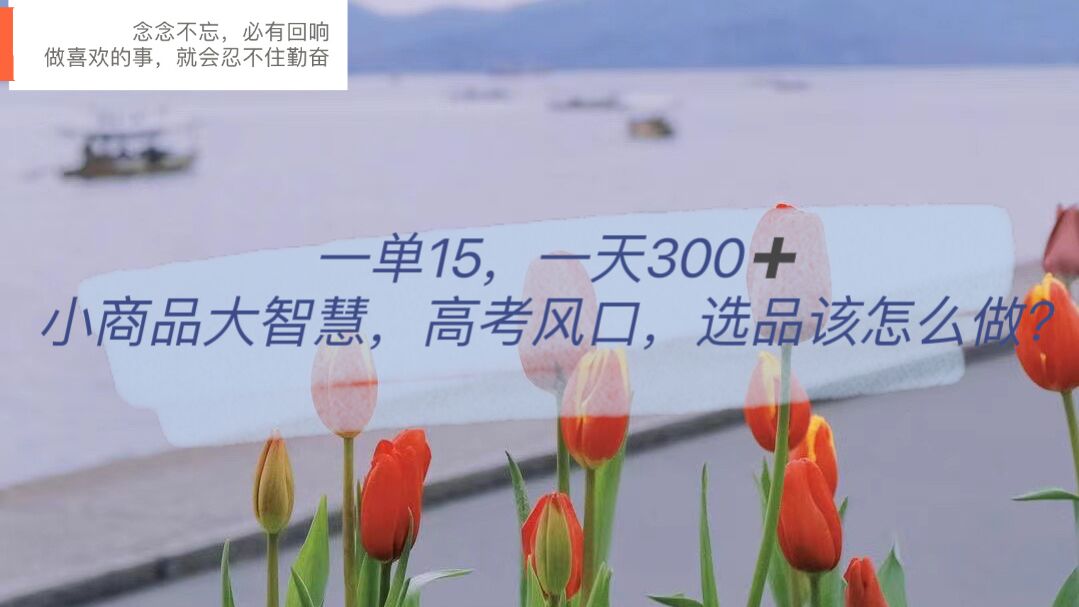 一单15，一天300+，小商品大智慧，高考风口，选品该怎么布局祝创空间-网创项目资源站-副业项目-创业项目-搞钱项目祝创空间