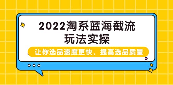2022淘系蓝海截流玩法实操：让你选品速度更快，提高选品质量（价值599）祝创空间-网创项目资源站-副业项目-创业项目-搞钱项目祝创空间