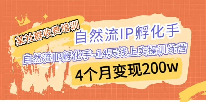 某社群收费培训：自然流IP 孵化手-14天线上实操训练营 4个月变现200w祝创空间-网创项目资源站-副业项目-创业项目-搞钱项目祝创空间
