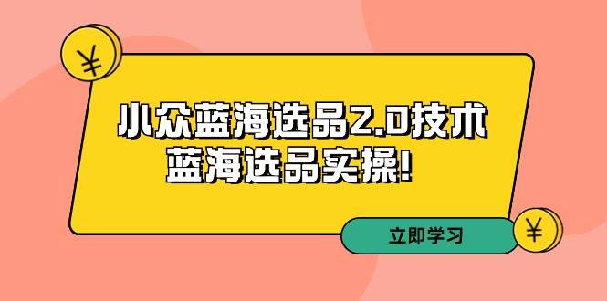拼多多培训第33期:小众蓝海选品2.0技术-蓝海选品实操!祝创空间-网创项目资源站-副业项目-创业项目-搞钱项目祝创空间